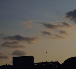1201347