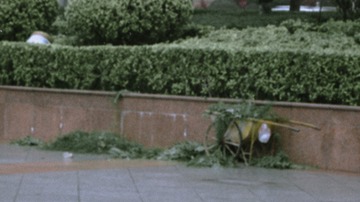 1982104