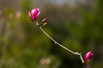 957368
