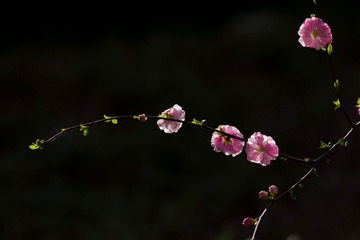 960708