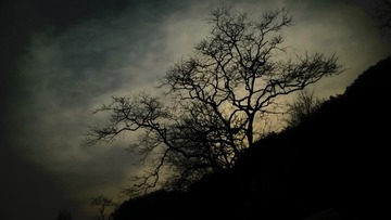 Sight_2016_01_08_161449_649