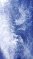 DSC02295-01