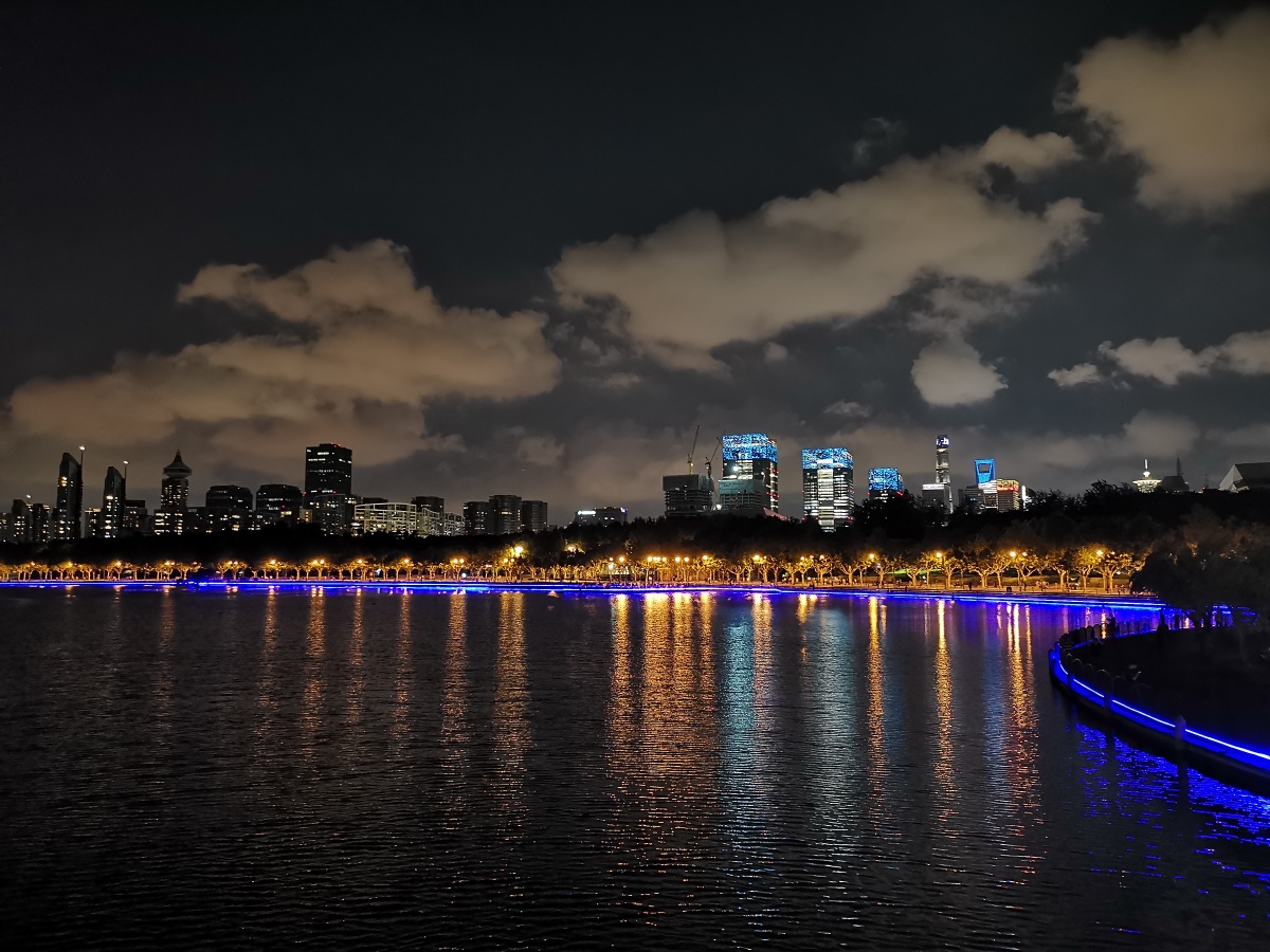 世纪公园一角夜景