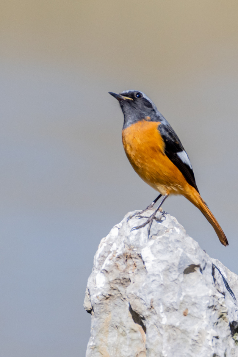 happy爸爸之大道自然 - 图虫