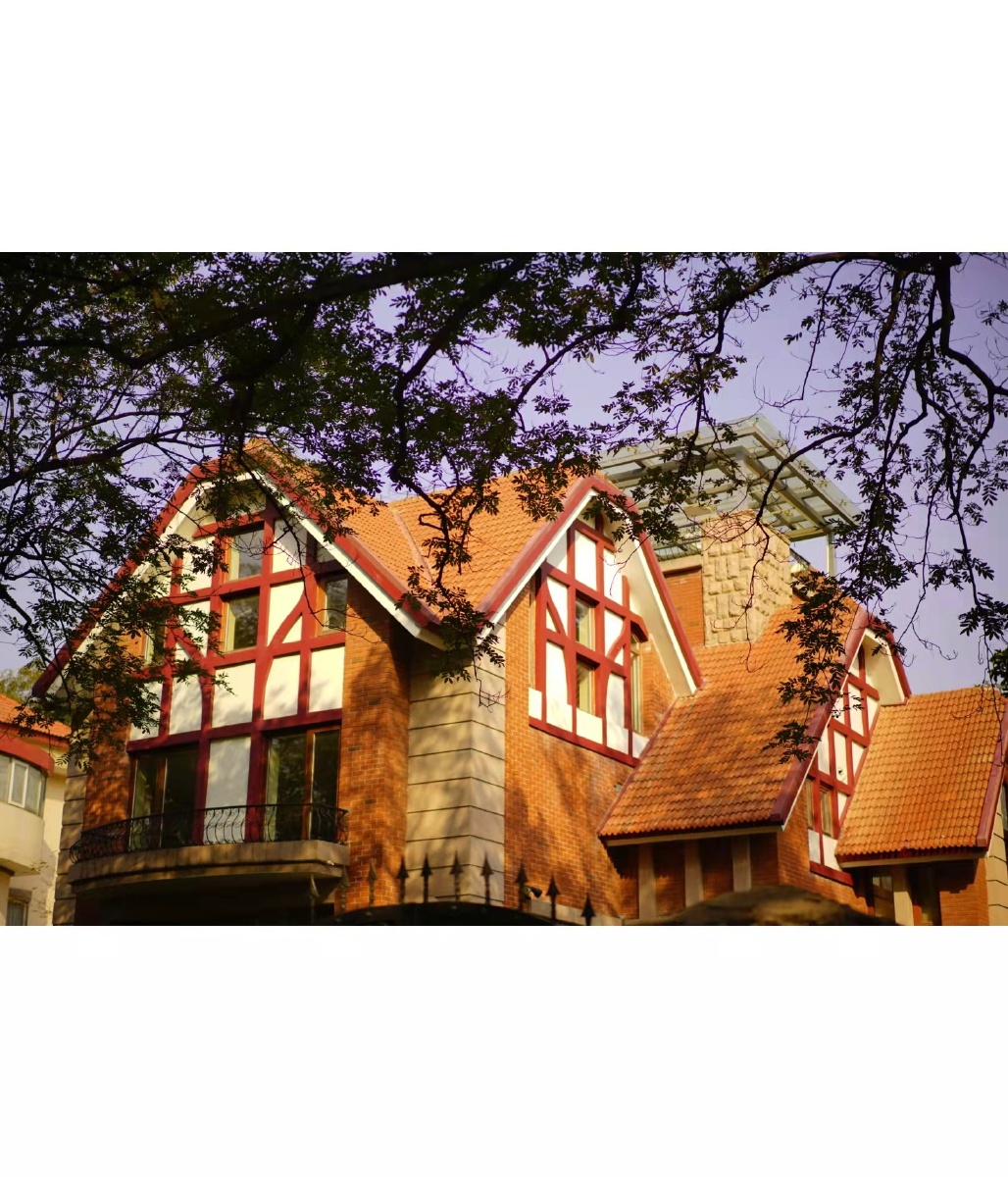 厡青岛老洋房索尼原图直出