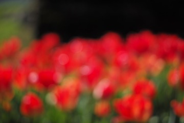 L1003430