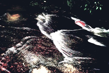 L1000848