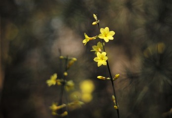 L1003092_