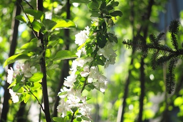L1004006_