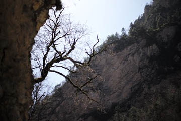 L1007725