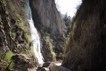 L1007837