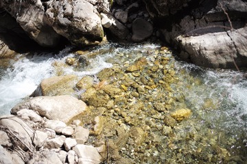 L1007688
