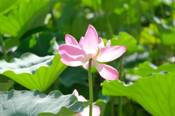 DSCF4748