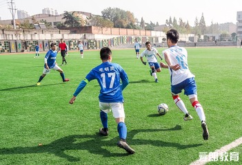 NFLS Soccer 112716-33