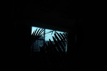 1661196