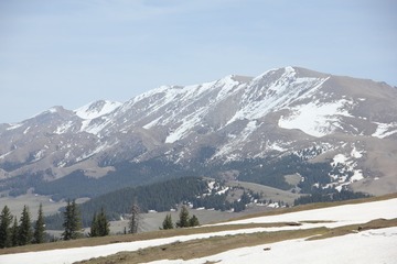 IMG_2044