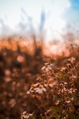IMG_0486-2