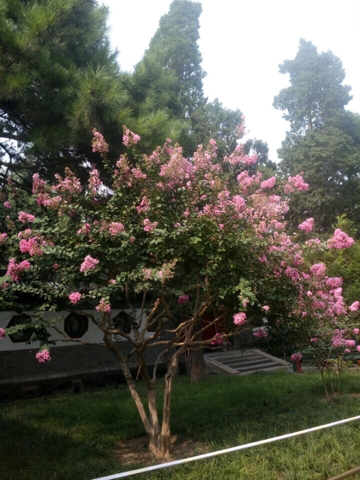 旅游的时候就是要静下心来，慢慢欣赏沿途每一个景色。