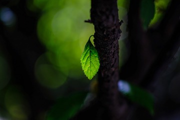 343B258A-7FDE-40BB-98B0-413E74F3CFEF/L0/001