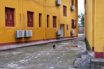 5580758