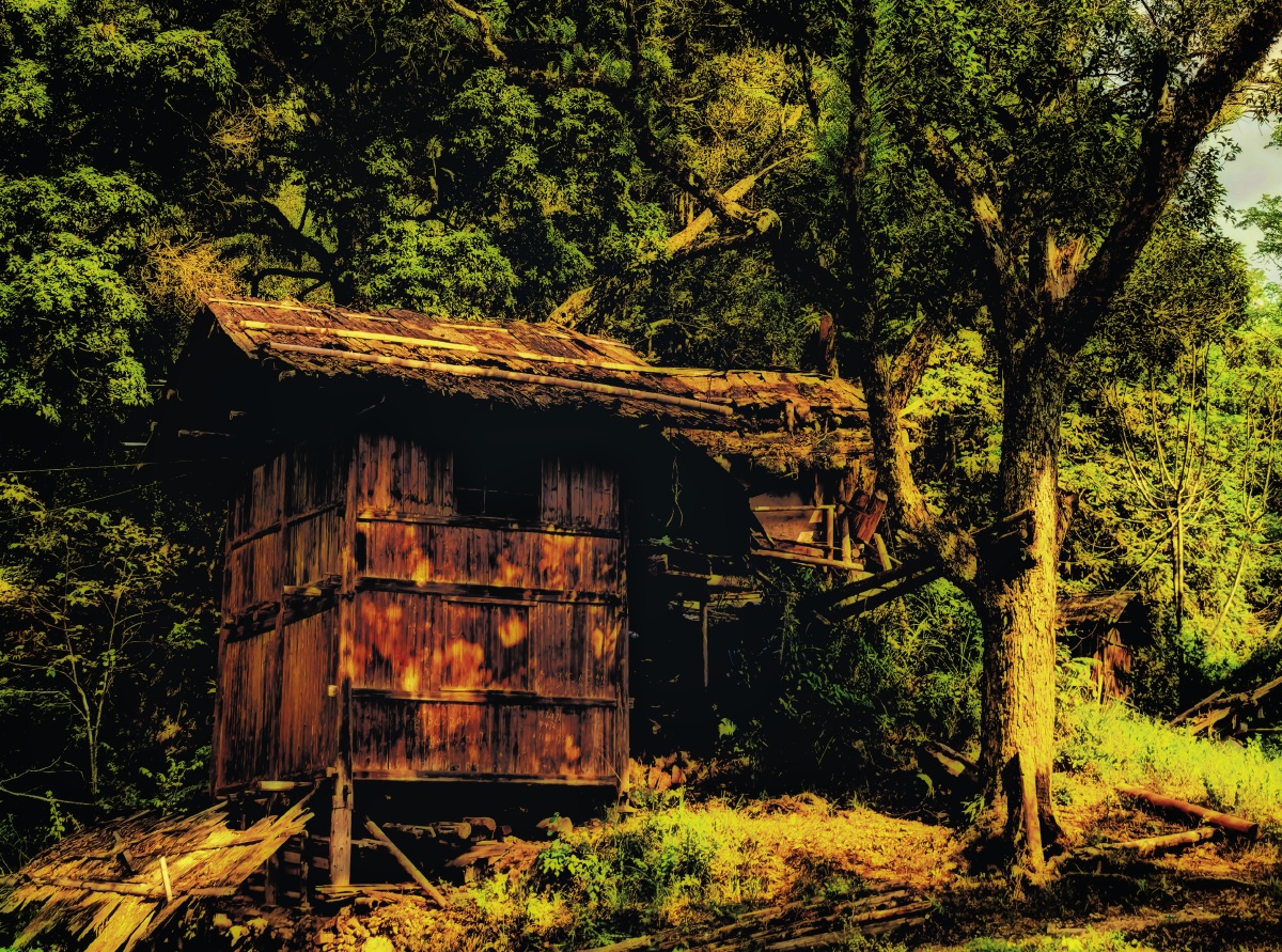 森林中的小木屋