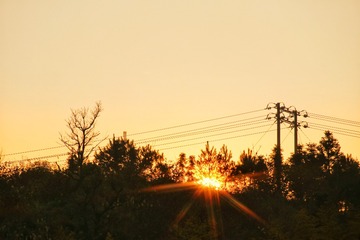 IMG_8671-01