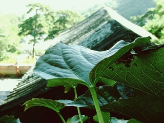 AF1C79C8-1B15-4AA7-AD4F-9F747B6EFDE9/L0/001