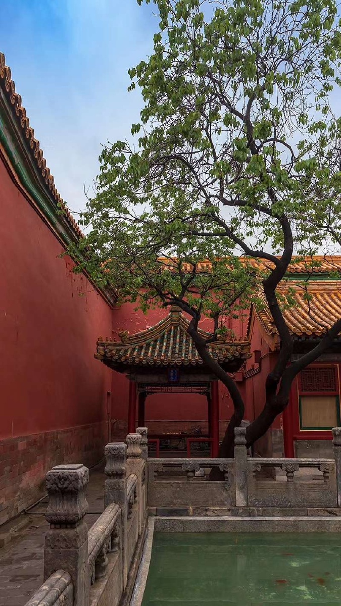 紫禁城—微雨玉翠亭 !