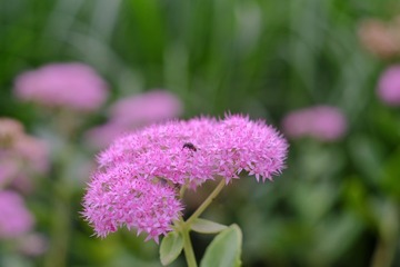A99B4F2E-65D5-4979-8561-BD3193562A09/L0/001