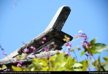 DSC_5642.jpg