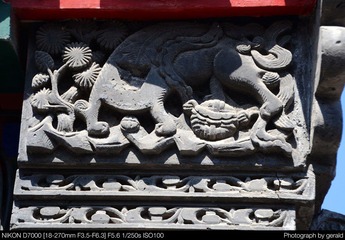 DSC_5647.jpg