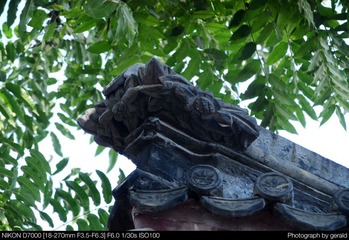 DSC_5658.jpg