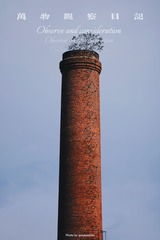 3B5DEDC6-E2CC-40D0-867E-EC6A9CA303F3/L0/001
