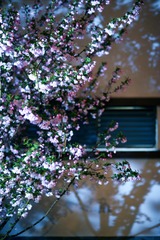 5A920C1B-62FC-4B50-9CF2-E919CCD409B6/L0/001