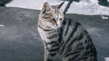 976615