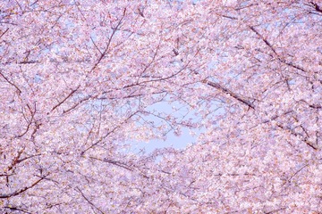 501F778E-6941-4455-B271-42865503FBDB/L0/001