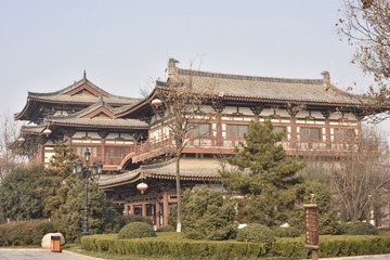 青龙寺JS689