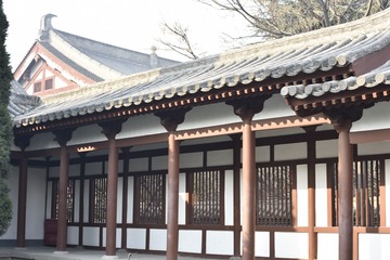 青龙寺JS696