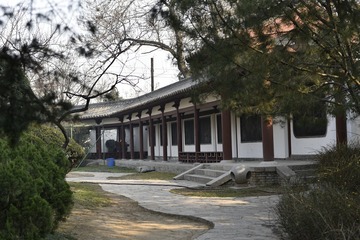 青龙寺JS715
