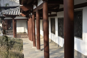 青龙寺JS716