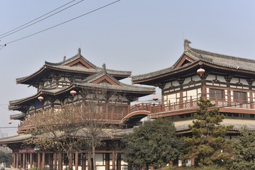 青龙寺JS718