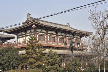 青龙寺JS719
