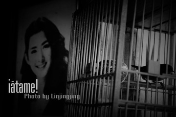 你在相框里，一如我在笼子里