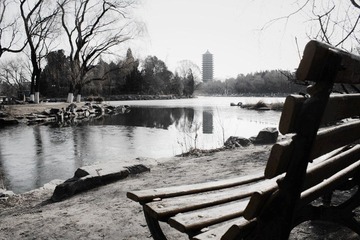 未名惊蛰
