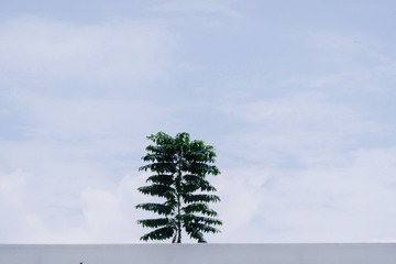 1737D8C5-042F-41E2-9FF1-E87AB7F9ADAF/L0/001