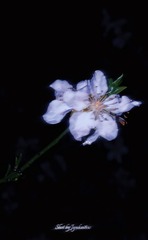 820D62BD-AD4D-4514-A9E4-85C886C9816D/L0/001