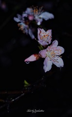 6A54ED46-F443-4F30-9488-F5935857D460/L0/001