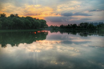 IMG_1649-01