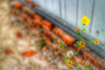 IMG_2033-01