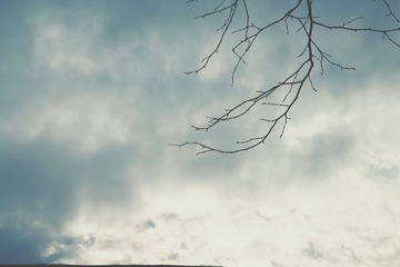 IMG_1855-01